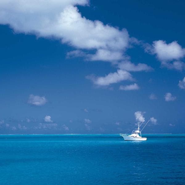 Nike Air Force 1 Low White tampak belakang