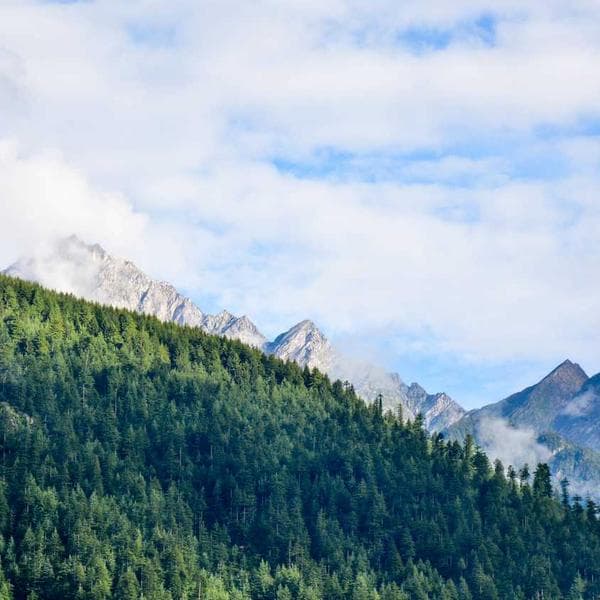 Adidas Samba OG tampak samping